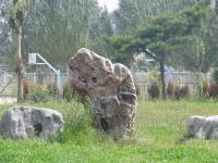 Albums/20060800-China Aug 2006/20060804-Shenyang University/71